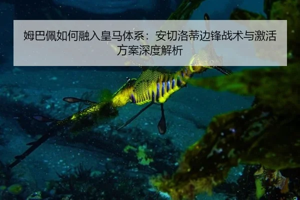 mu-ba-pei-ru-he-rong-ru-huang-ma-ti-xi-an-qie-luo-di-bian-feng-zhan-shu-yu-ji-huo-fang-an-shen-du-jie-xi-3-181.jpg