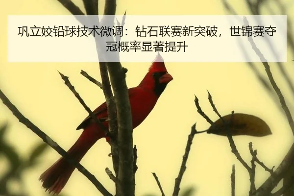 gong-li-jiao-qian-qiu-ji-shu-wei-diao-zuan-shi-lian-sai-xin-tu-po-shi-jin-sai-duo-guan-gai-lv-xian-zhu-ti-sheng-3-801.jpg